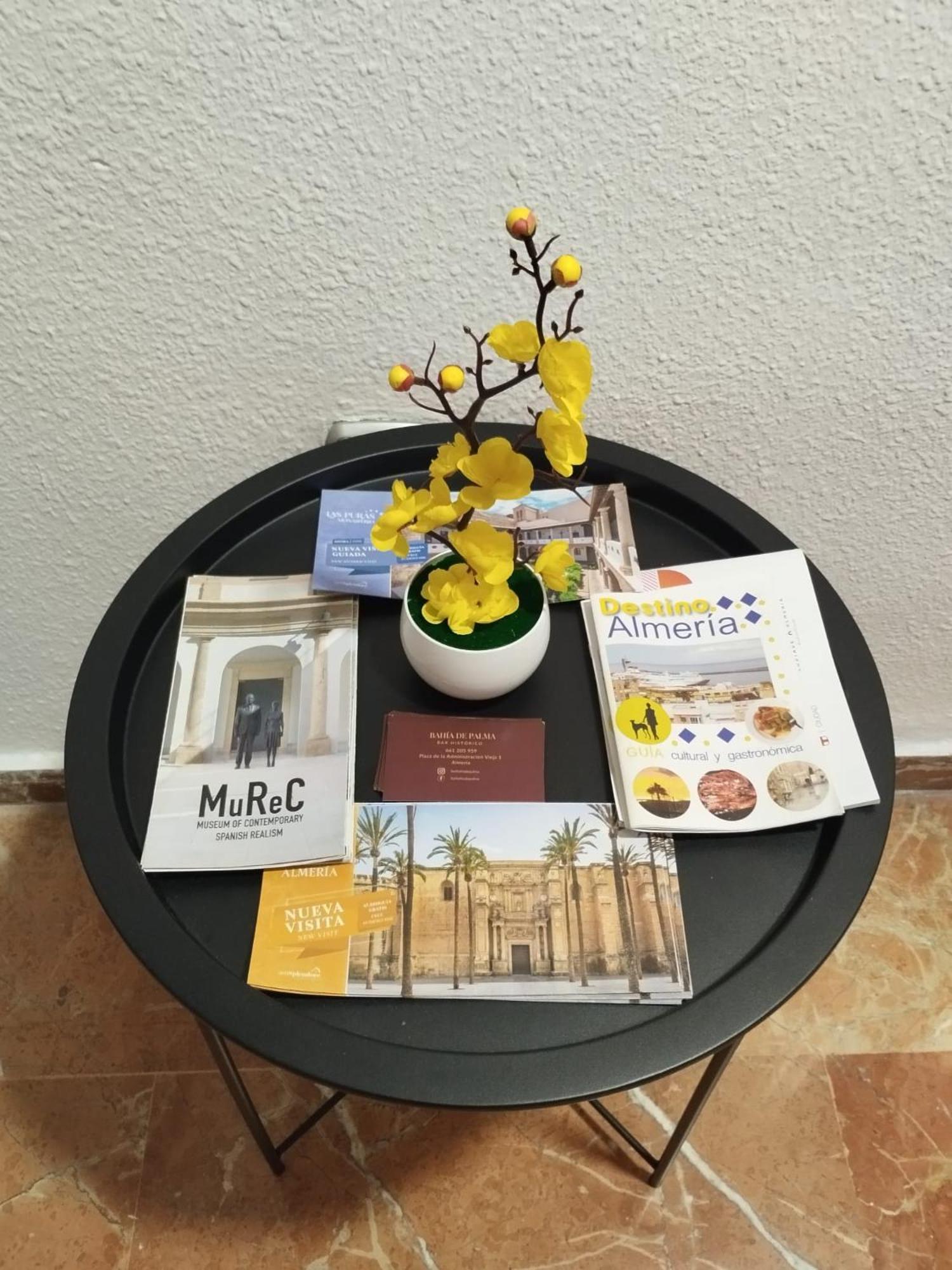 Piso Museo Del Realismo - Catedral - Alcazaba Con Parking Gratis - Super Wifi Apartment อัลเมรีอา ภายนอก รูปภาพ